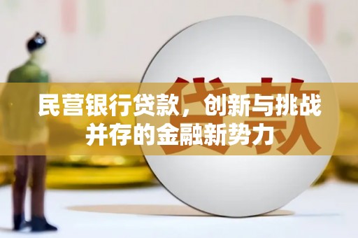 甘州民营银行贷款，创新与挑战并存的金融新势力
