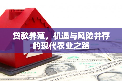 甘州贷款养殖，机遇与风险并存的现代农业之路