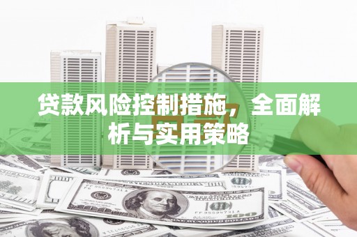 甘州贷款风险控制措施，全面解析与实用策略