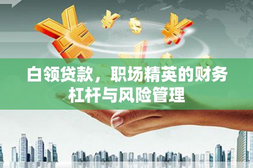 甘州白领贷款，职场精英的财务杠杆与风险管理