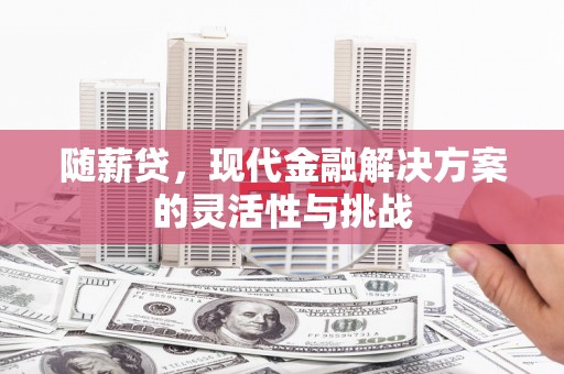 甘州随薪贷，现代金融解决方案的灵活性与挑战