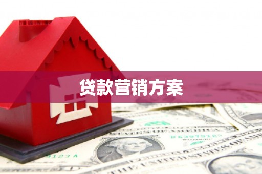 甘州贷款营销方案