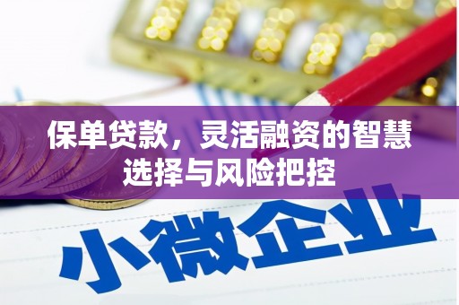甘州保单贷款，灵活融资的智慧选择与风险把控