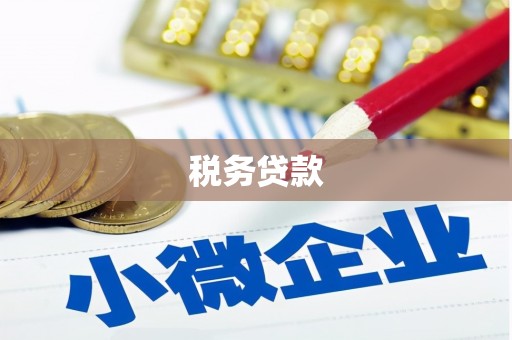 甘州税务贷款