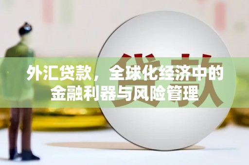 甘州外汇贷款，全球化经济中的金融利器与风险管理