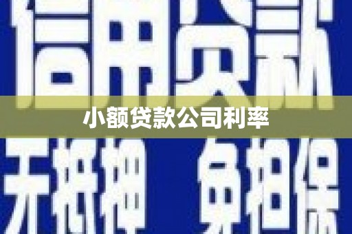 甘州小额贷款公司利率