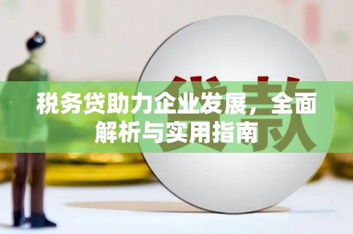 甘州税务贷助力企业发展，全面解析与实用指南