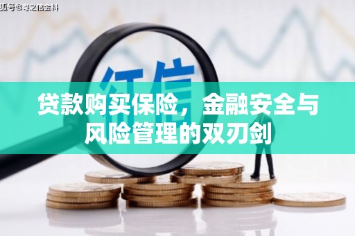 甘州贷款购买保险，金融安全与风险管理的双刃剑
