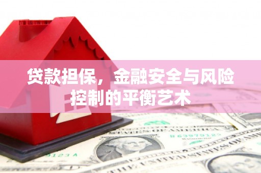 甘州贷款担保，金融安全与风险控制的平衡艺术