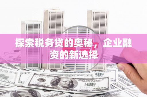 甘州探索税务贷的奥秘，企业融资的新选择
