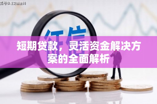甘州短期贷款，灵活资金解决方案的全面解析