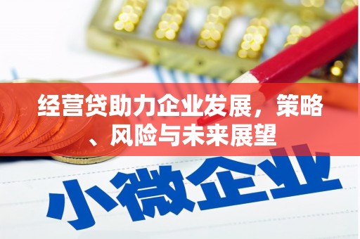甘州经营贷助力企业发展，策略、风险与未来展望