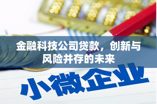 甘州金融科技公司贷款，创新与风险并存的未来