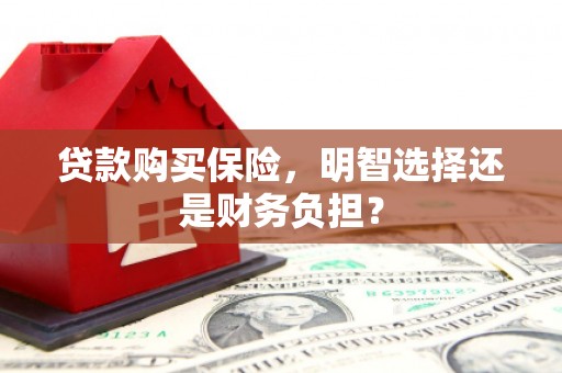 甘州贷款购买保险，明智选择还是财务负担？