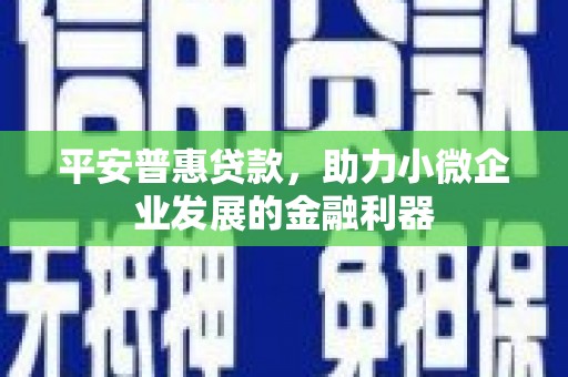 甘州平安普惠贷款，助力小微企业发展的金融利器