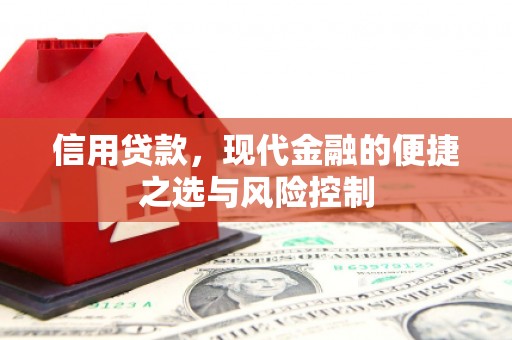甘州信用贷款，现代金融的便捷之选与风险控制
