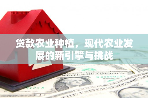 甘州贷款农业种植，现代农业发展的新引擎与挑战