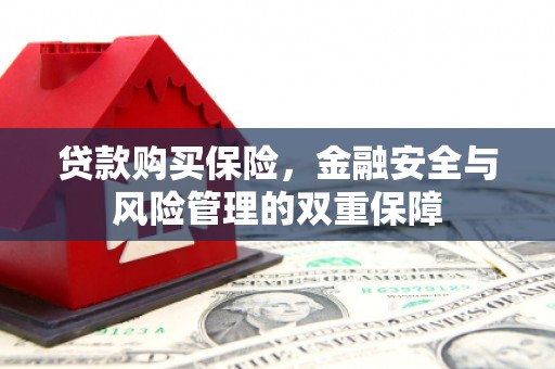 甘州贷款购买保险，金融安全与风险管理的双重保障