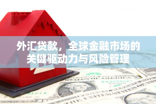 甘州外汇贷款，全球金融市场的关键驱动力与风险管理