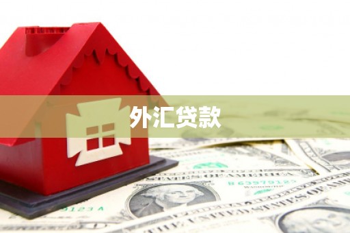 甘州外汇贷款