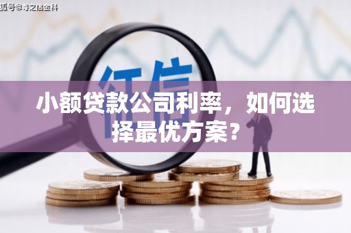 甘州小额贷款公司利率，如何选择最优方案？