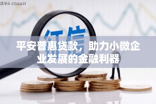 甘州平安普惠贷款，助力小微企业发展的金融利器