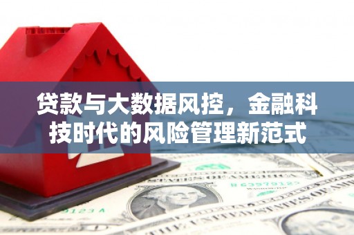 甘州贷款与大数据风控，金融科技时代的风险管理新范式
