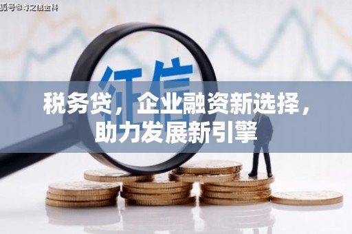 甘州税务贷，企业融资新选择，助力发展新引擎