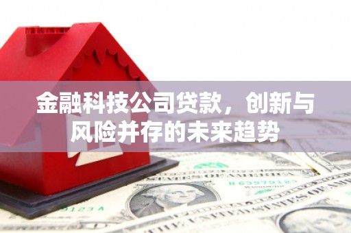 甘州金融科技公司贷款，创新与风险并存的未来趋势