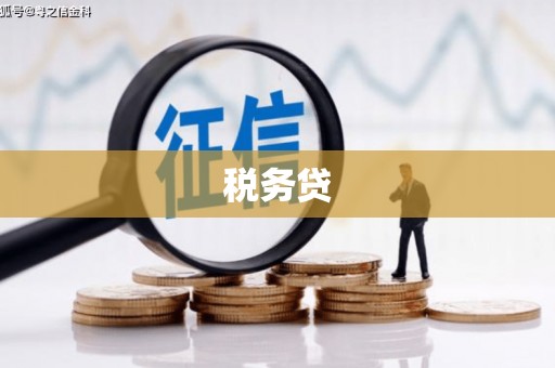 甘州税务贷