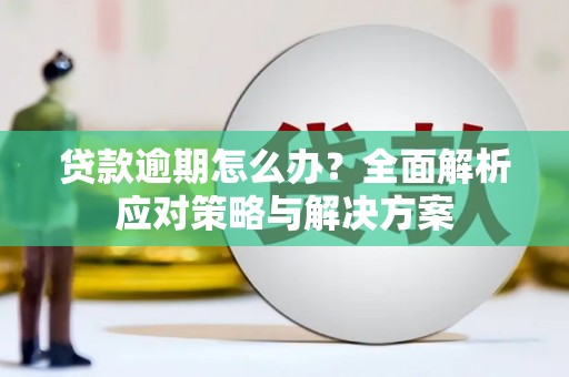 甘州贷款逾期怎么办？全面解析应对策略与解决方案