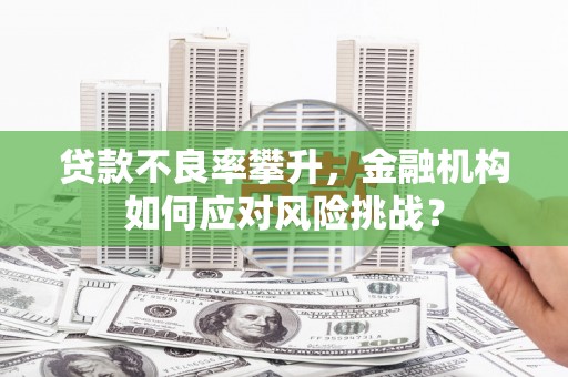 甘州贷款不良率攀升，金融机构如何应对风险挑战？
