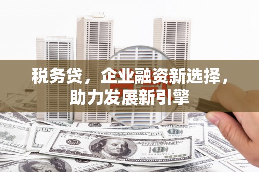 甘州税务贷，企业融资新选择，助力发展新引擎