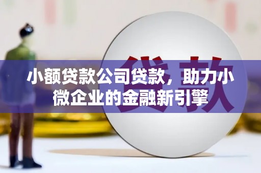 甘州小额贷款公司贷款，助力小微企业的金融新引擎