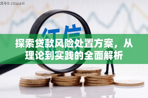 甘州探索贷款风险处置方案，从理论到实践的全面解析