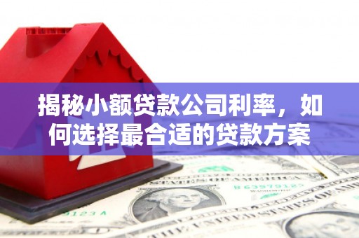 甘州揭秘小额贷款公司利率，如何选择最合适的贷款方案