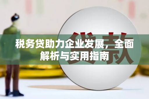 甘州税务贷助力企业发展，全面解析与实用指南