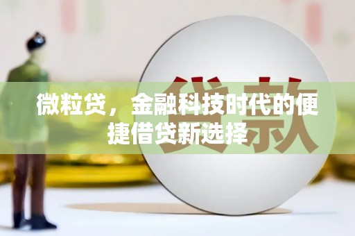 甘州微粒贷，金融科技时代的便捷借贷新选择