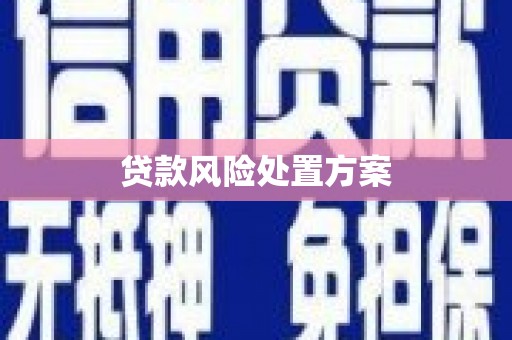 甘州贷款风险处置方案