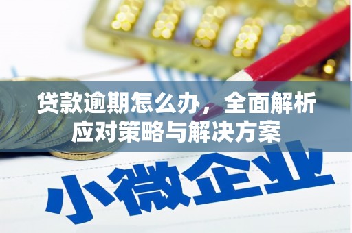 甘州贷款逾期怎么办，全面解析应对策略与解决方案