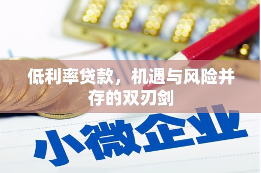 甘州低利率贷款，机遇与风险并存的双刃剑