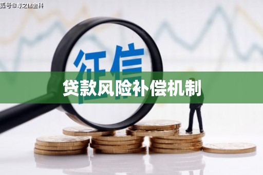 甘州贷款风险补偿机制