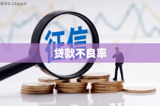 甘州贷款不良率