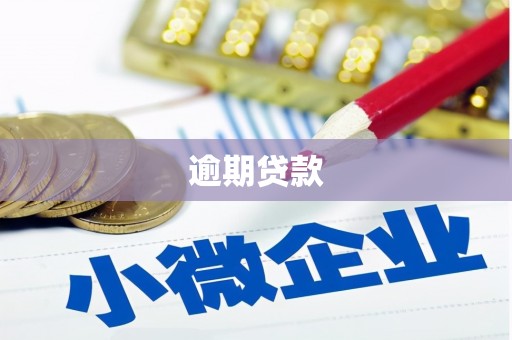 甘州逾期贷款