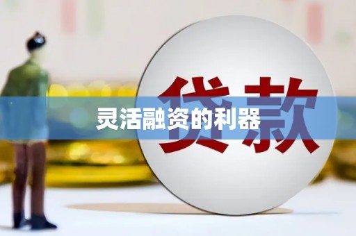 甘州灵活融资的利器