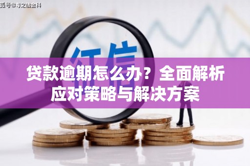 甘州贷款逾期怎么办？全面解析应对策略与解决方案