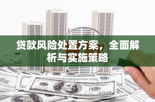 甘州贷款风险处置方案，全面解析与实施策略