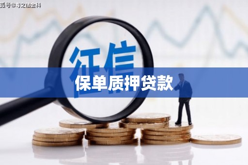 甘州保单质押贷款
