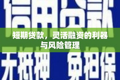 甘州短期贷款，灵活融资的利器与风险管理