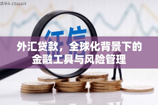 甘州外汇贷款，全球化背景下的金融工具与风险管理